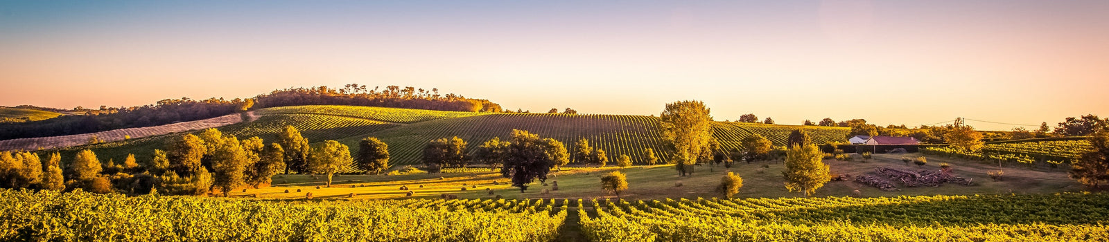 image principale de collection Nouveautés 2026