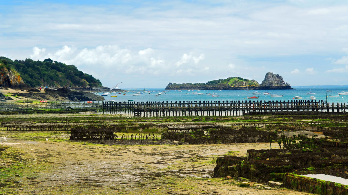 Idées découvertes à Saint-Malo