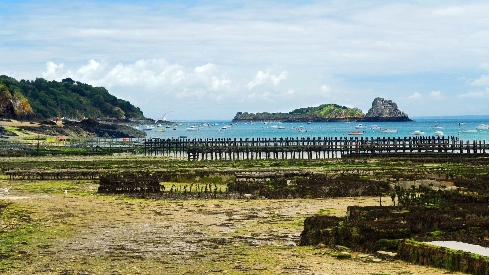 Idées découvertes à Saint-Malo