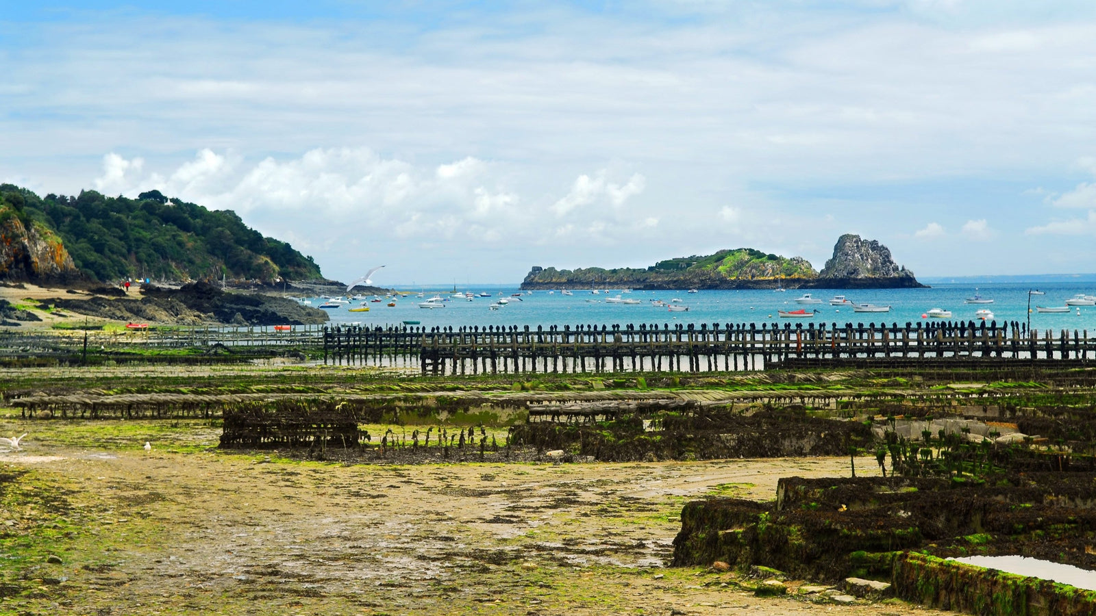 Idées découvertes à Saint-Malo