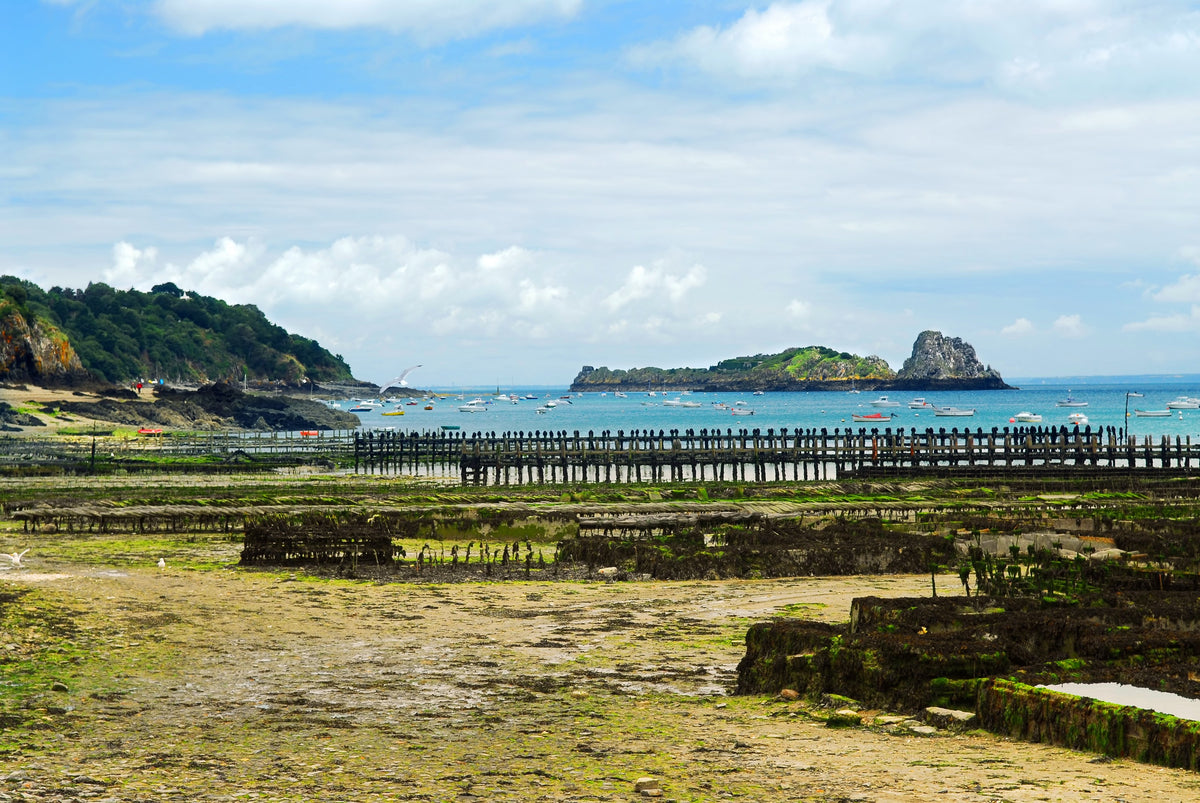 Idées découvertes à Saint-Malo