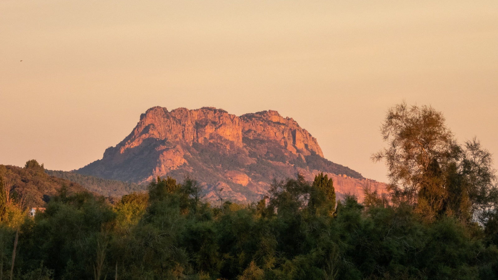 Idées découvertes à Fréjus