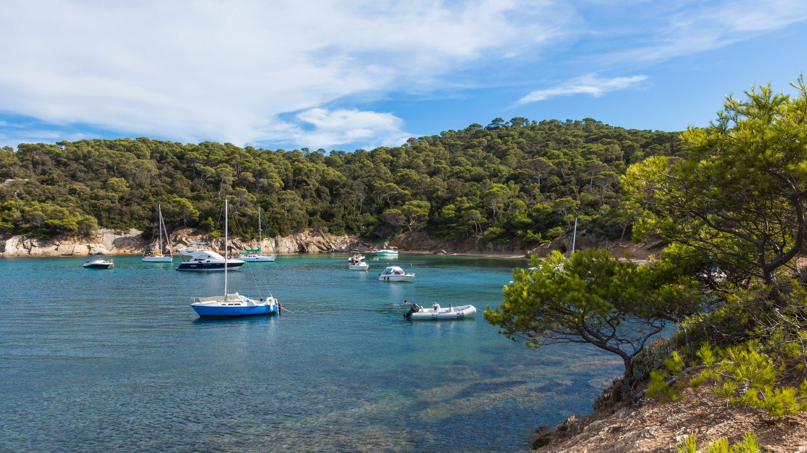 Idées découvertes sur la Presqu'île de Giens