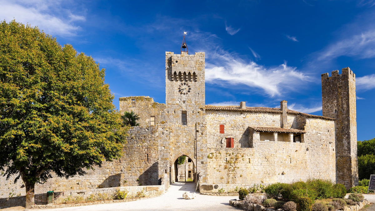 Idées découvertes à Eauze d'Armagnac