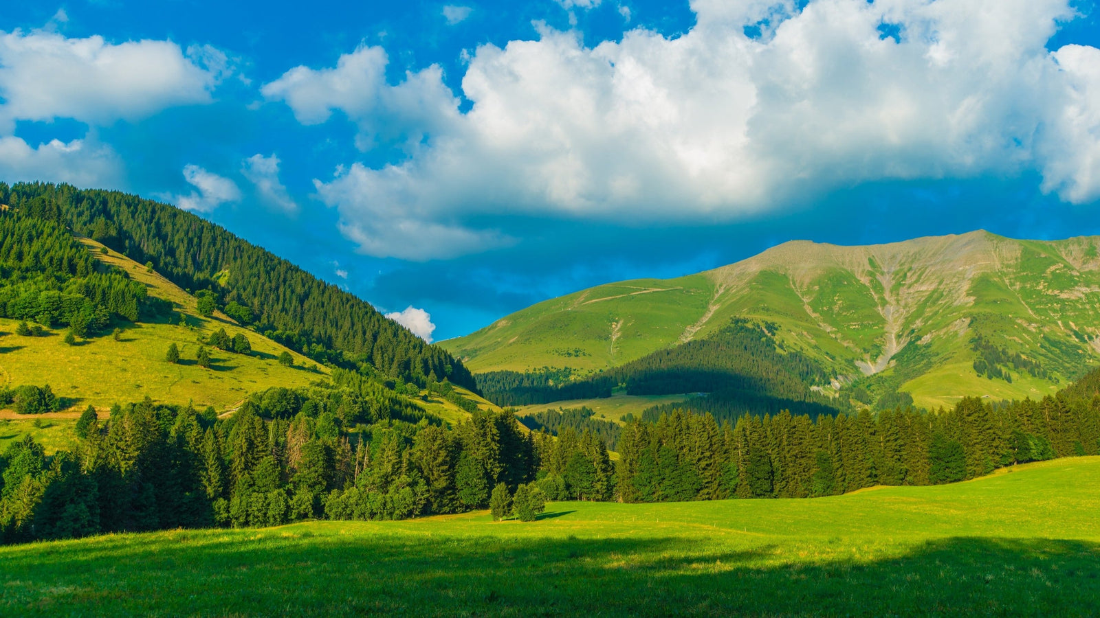 Idées découvertes à Saint-Gervais