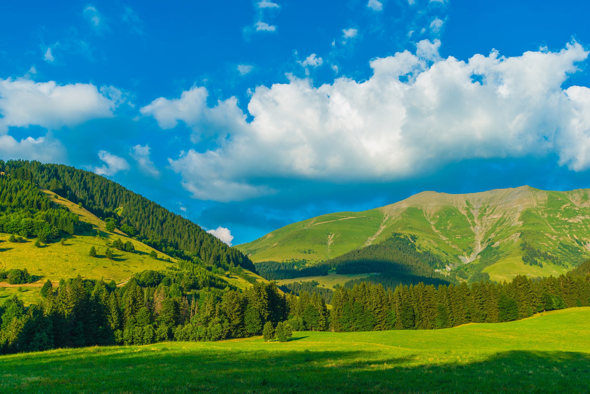 Idées découvertes à Saint-Gervais