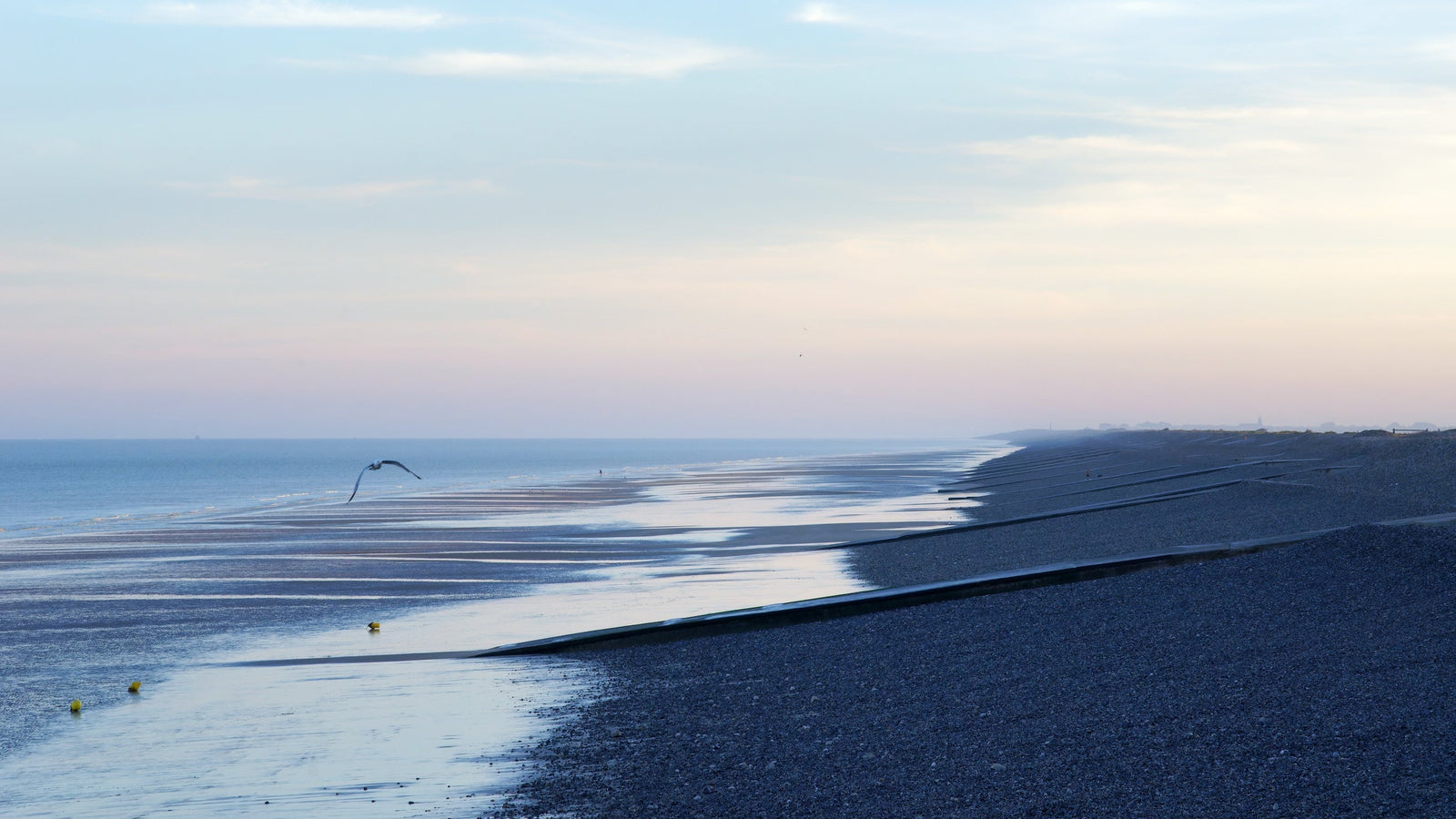 Refuge d'oiseaux, le Hâble d’Ault dans la Baie de Somme