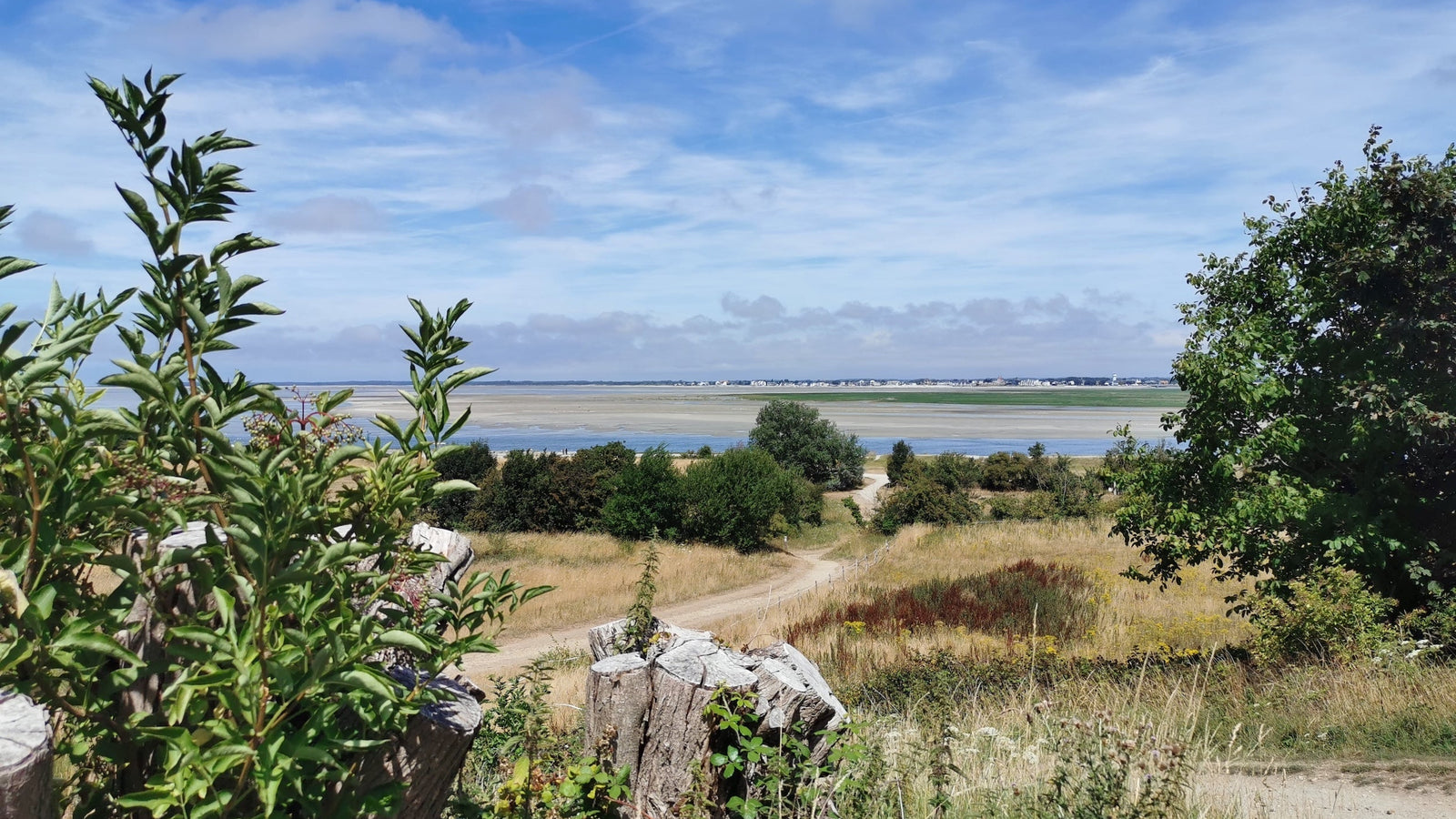 Nature sauvage de la pointe du Hourdel dans la Baie de Somme