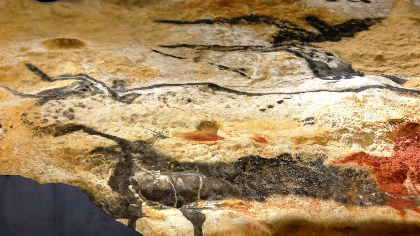 Idées découvertes à Montignac-Lascaux