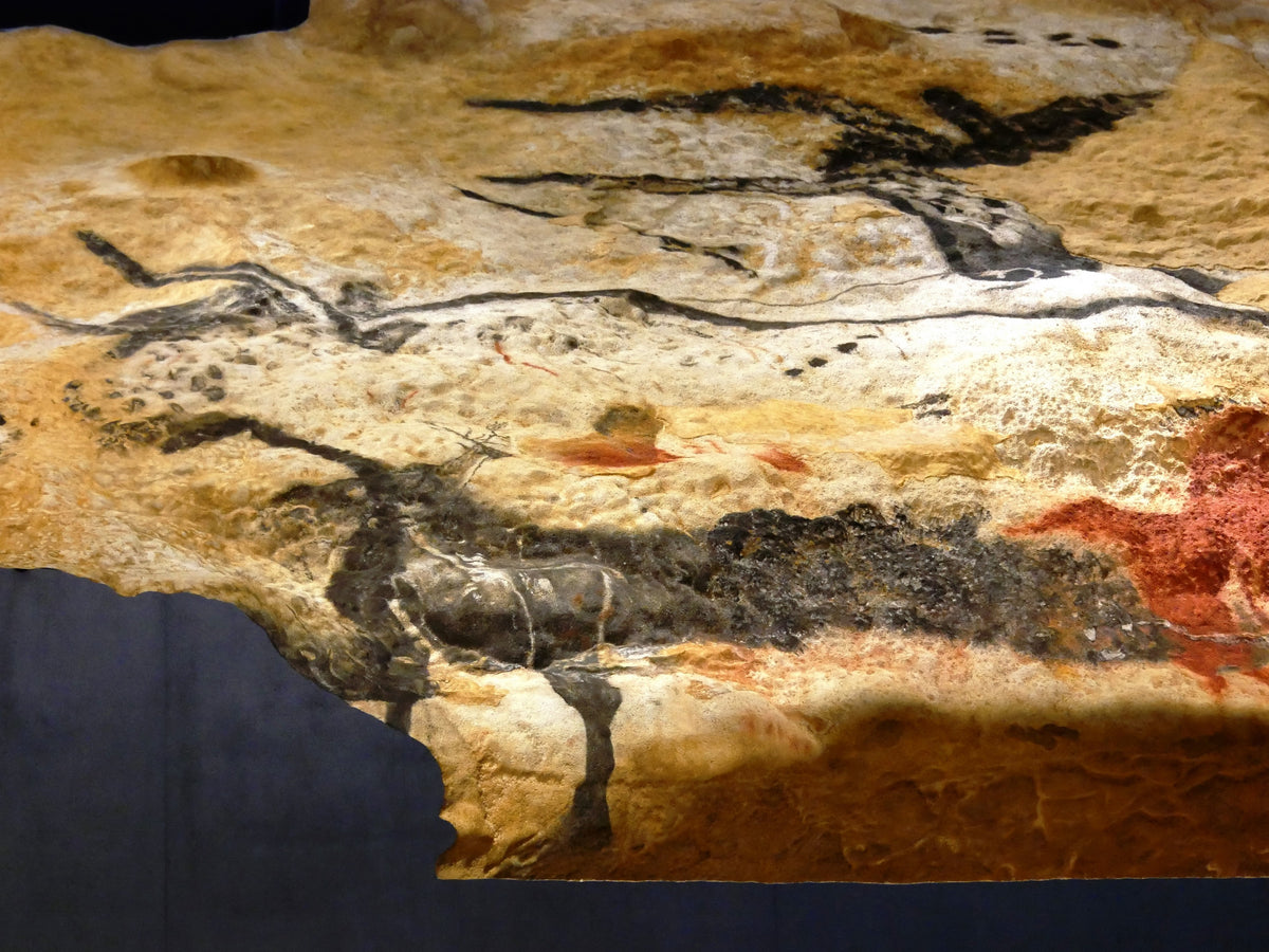 Idées découvertes à Montignac-Lascaux