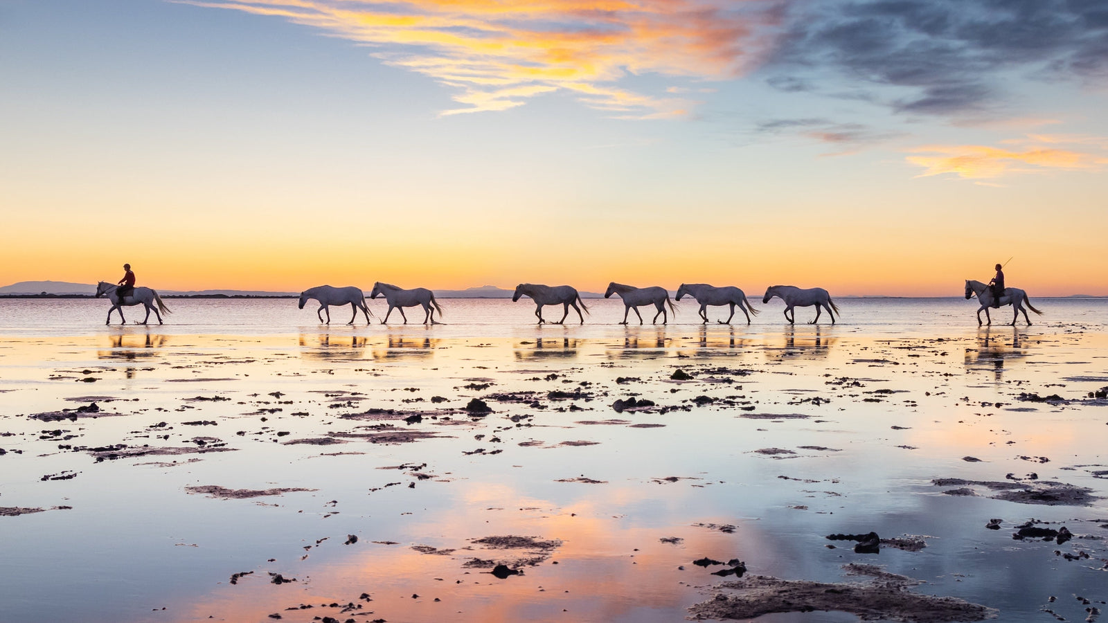 Une balade à cheval au cœur des paysages camarguais