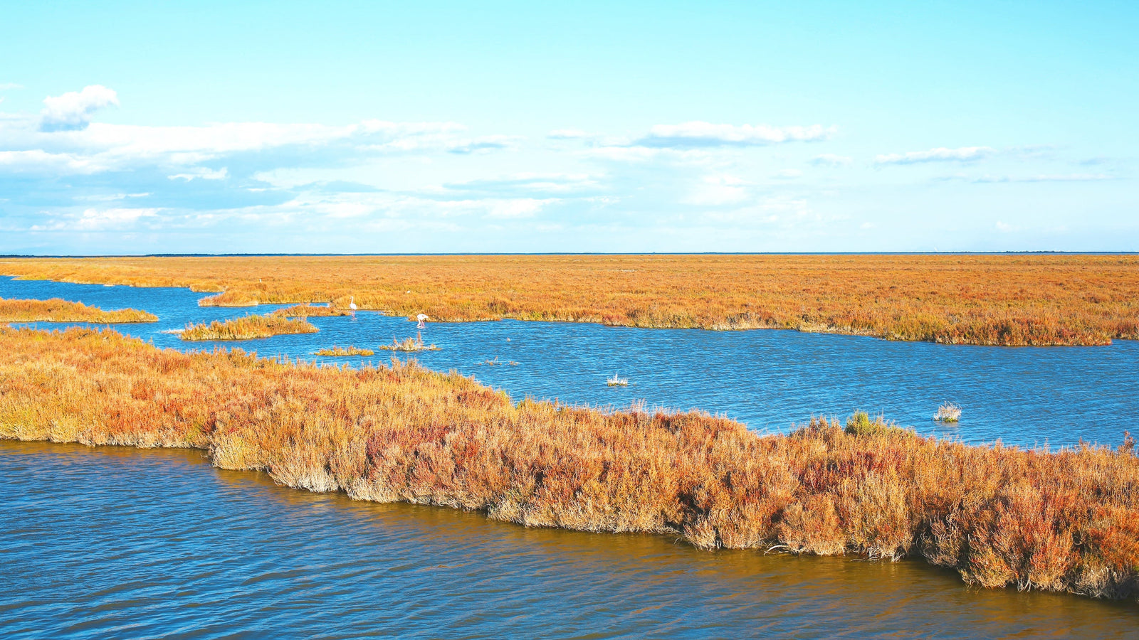 Paysage magnifique à La Digue à la Mer en Camargue