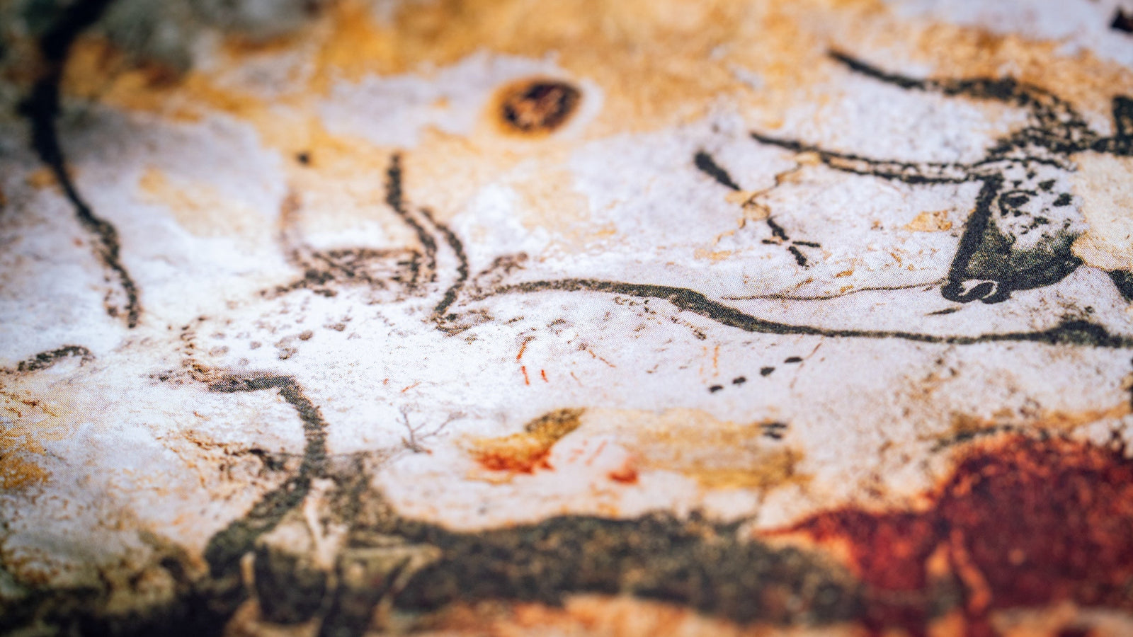 Les incontournables grottes de Lascaux en Dordogne