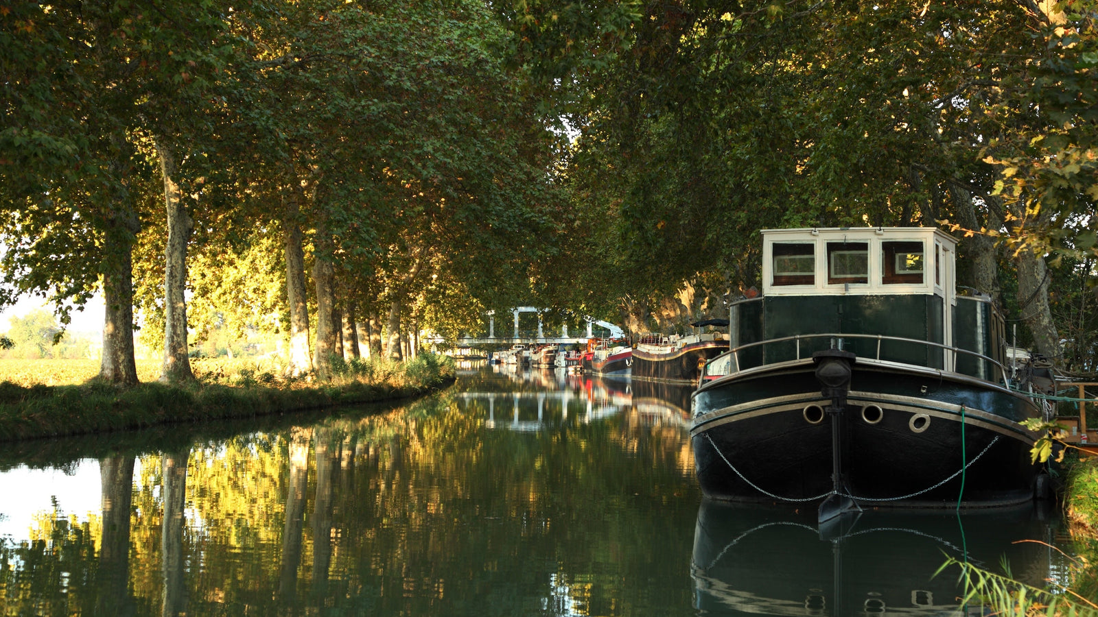 L'incontournable Canal du Midi en Occitanie