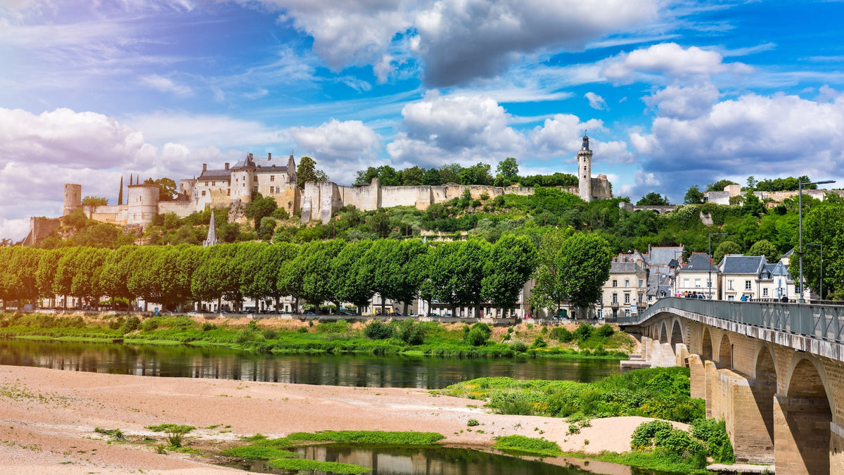 Vue sur l'incontournable ville de Chinon en Touraine