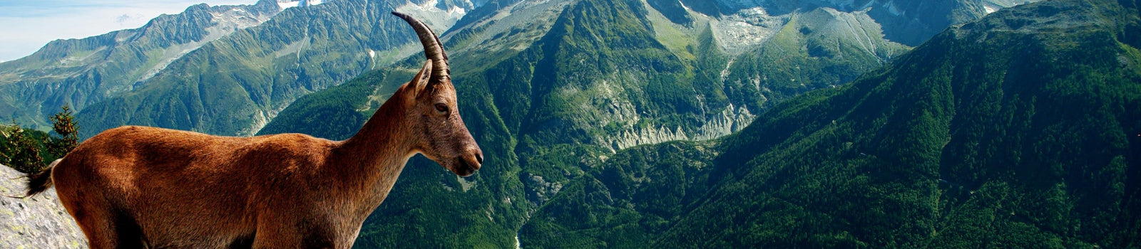 Alpes, Sommets & Évasion