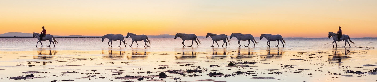 Roussillon, Languedoc & Camargue