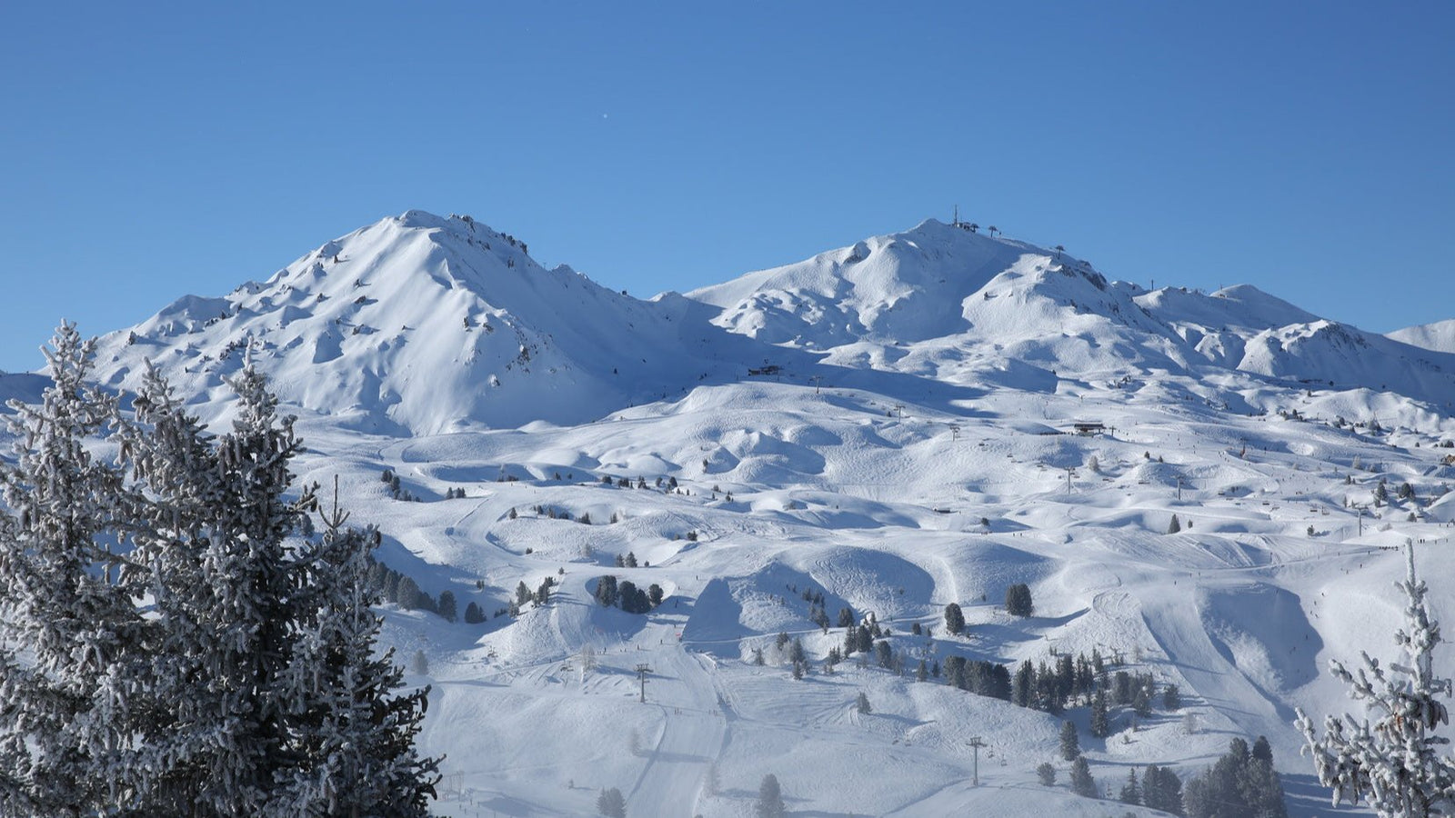 Idées découvertes à La Plagne