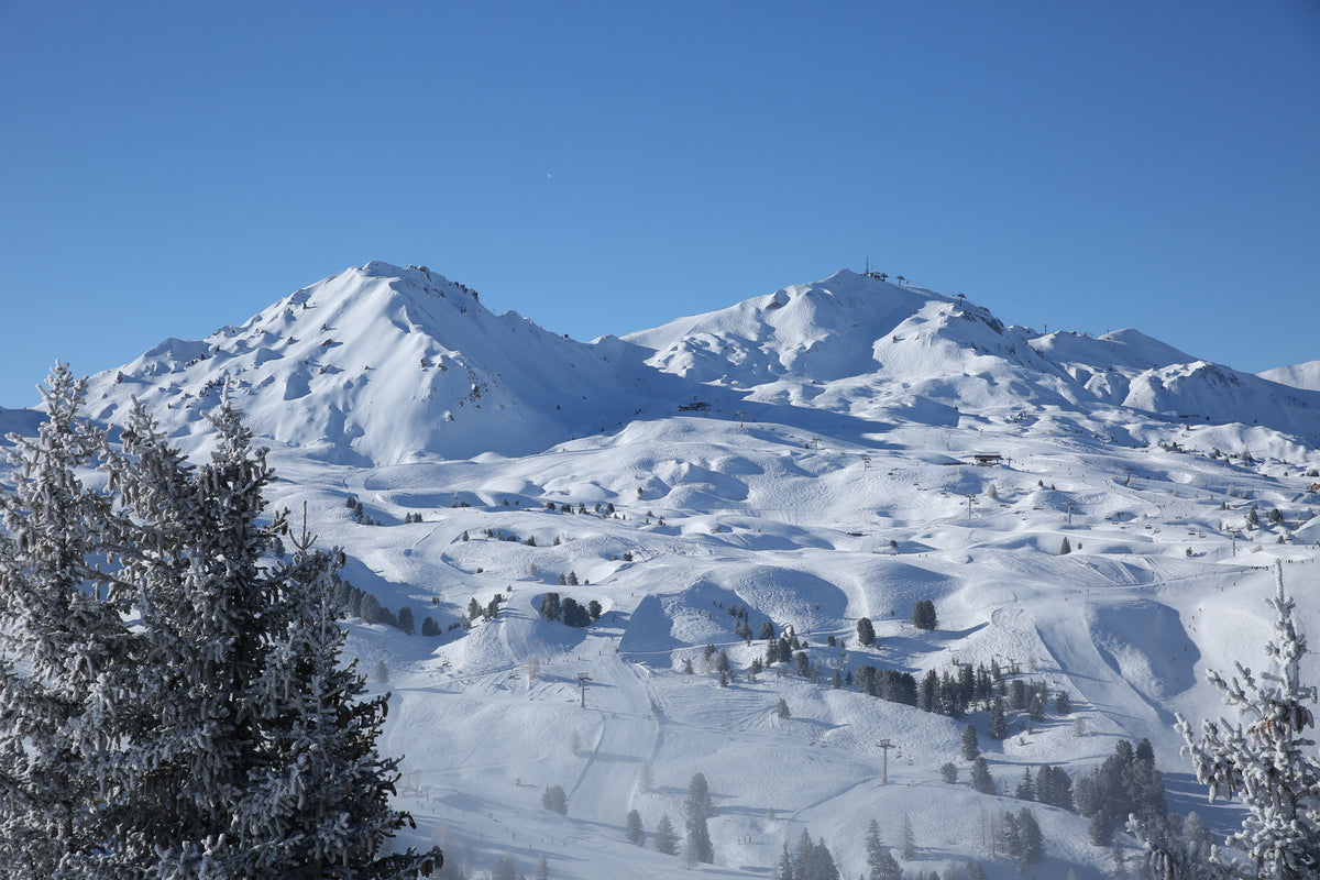 Idées découvertes à La Plagne