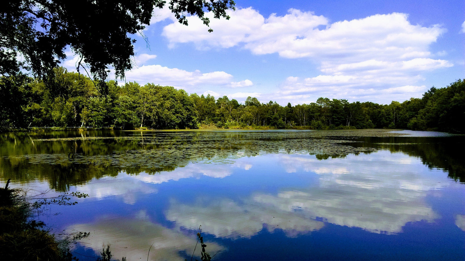 Idées découvertes à Chambord