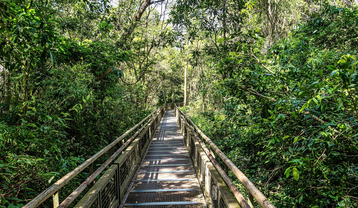 Balade dans le parc d'Iguaçu au Brésil