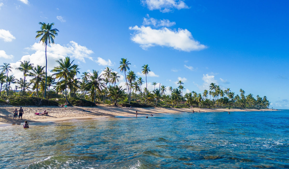 Praia do Forte à Salvador de Bahia au Brésil