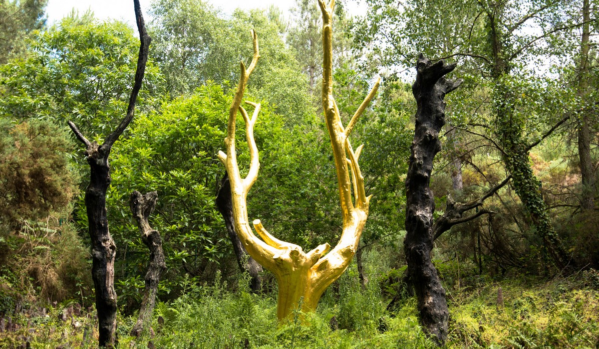 La forêt de Brocéliande en Bretagne